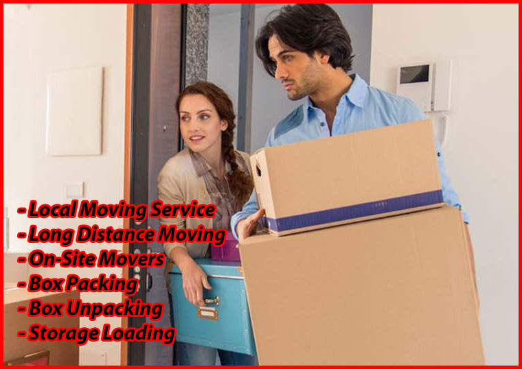 Packers And Movers Noida Sector 113
